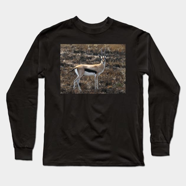 Thomson's Gazelles, Serengeti, Tanzania. Long Sleeve T-Shirt by Carole-Anne